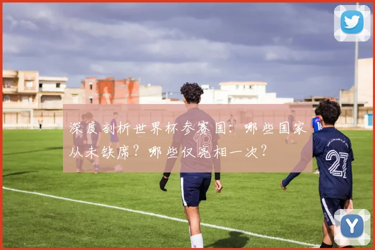 深度剖析世界杯参赛国：哪些国家从未缺席？哪些仅亮相一次？