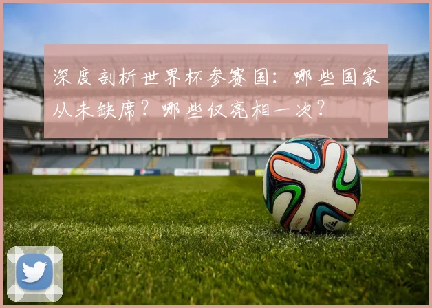 深度剖析世界杯参赛国：哪些国家从未缺席？哪些仅亮相一次？