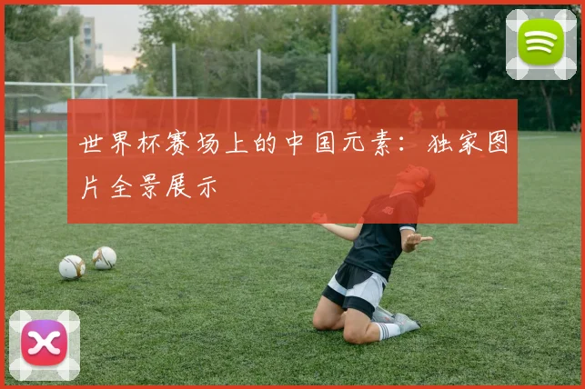 世界杯赛场上的中国元素：独家图片全景展示