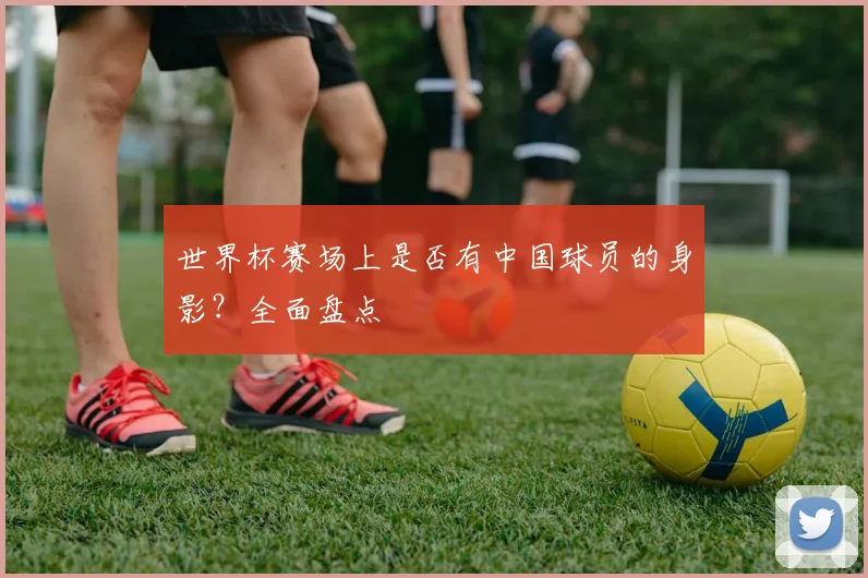 世界杯赛场上是否有中国球员的身影？全面盘点