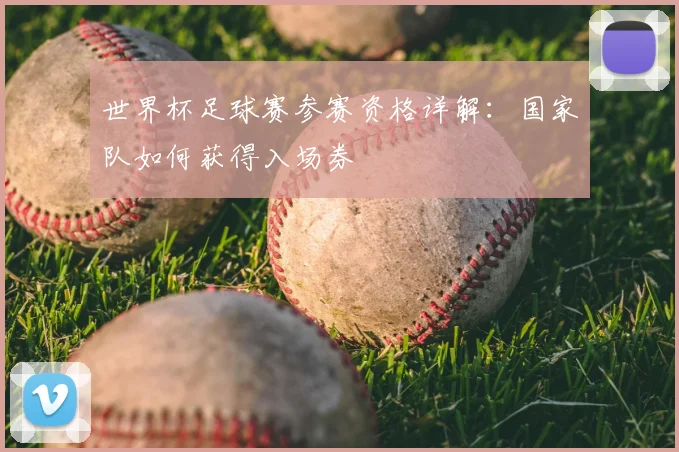 世界杯足球赛参赛资格详解:国家队如何获得入场券