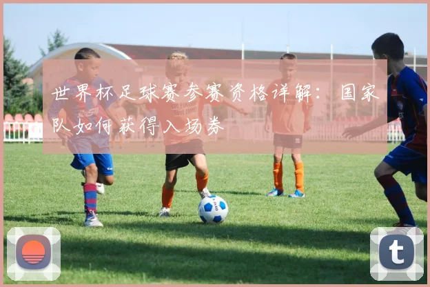 世界杯足球赛参赛资格详解:国家队如何获得入场券