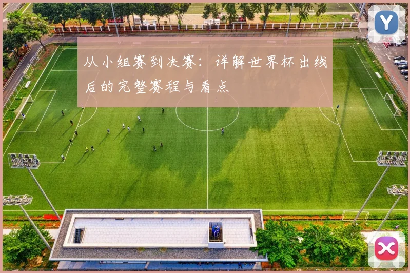 从小组赛到决赛：详解世界杯出线后的完整赛程与看点